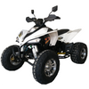 ATV250AS-43 MOTORBIKE CHINA FACTORY RACING MOTORCYCLE,ATV,UTV,OFF ROAD