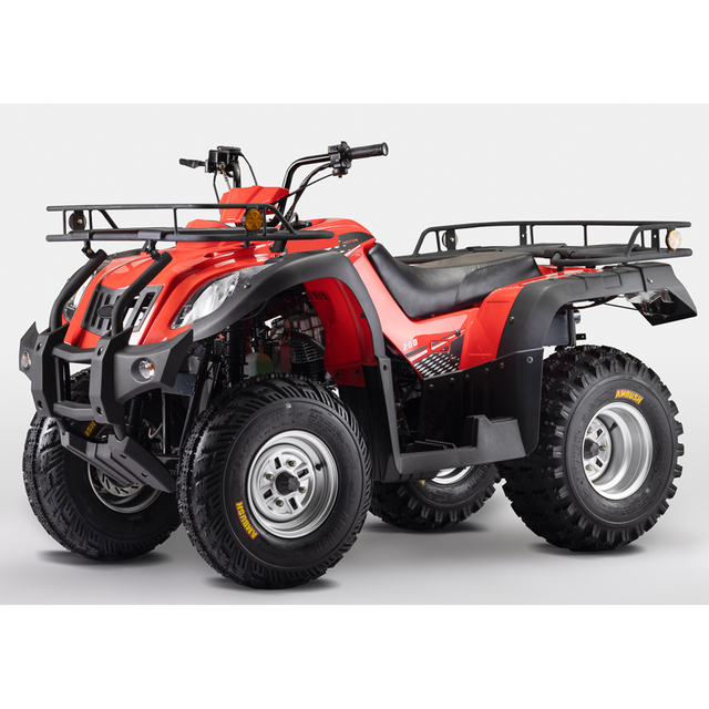 ATV250-29D MOTORBIKE CHINA FACTORY RACING MOTORCYCLE,ATV,UTV,OFF ROAD